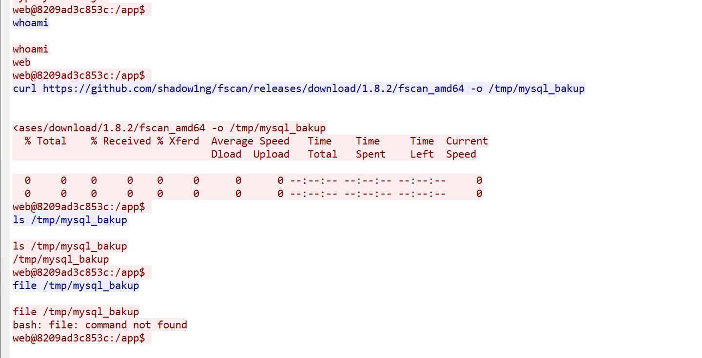 image-20250304200439169