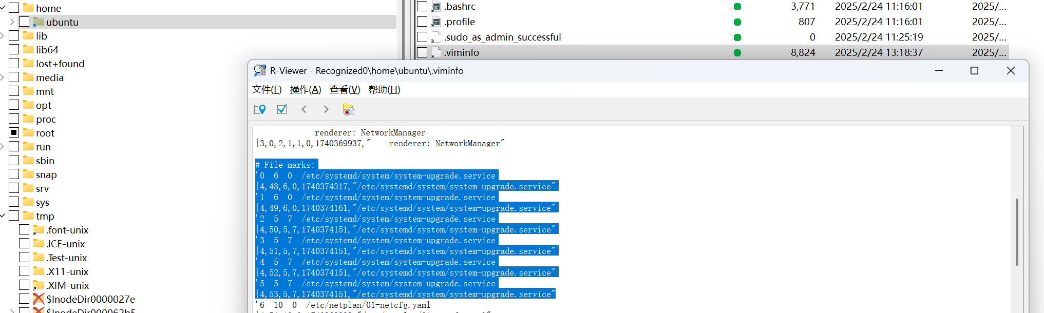 image-20250806092723335